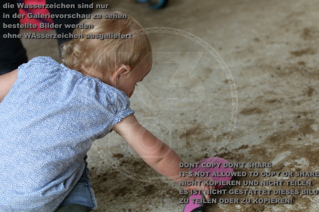 s_IMG_5706.JPG